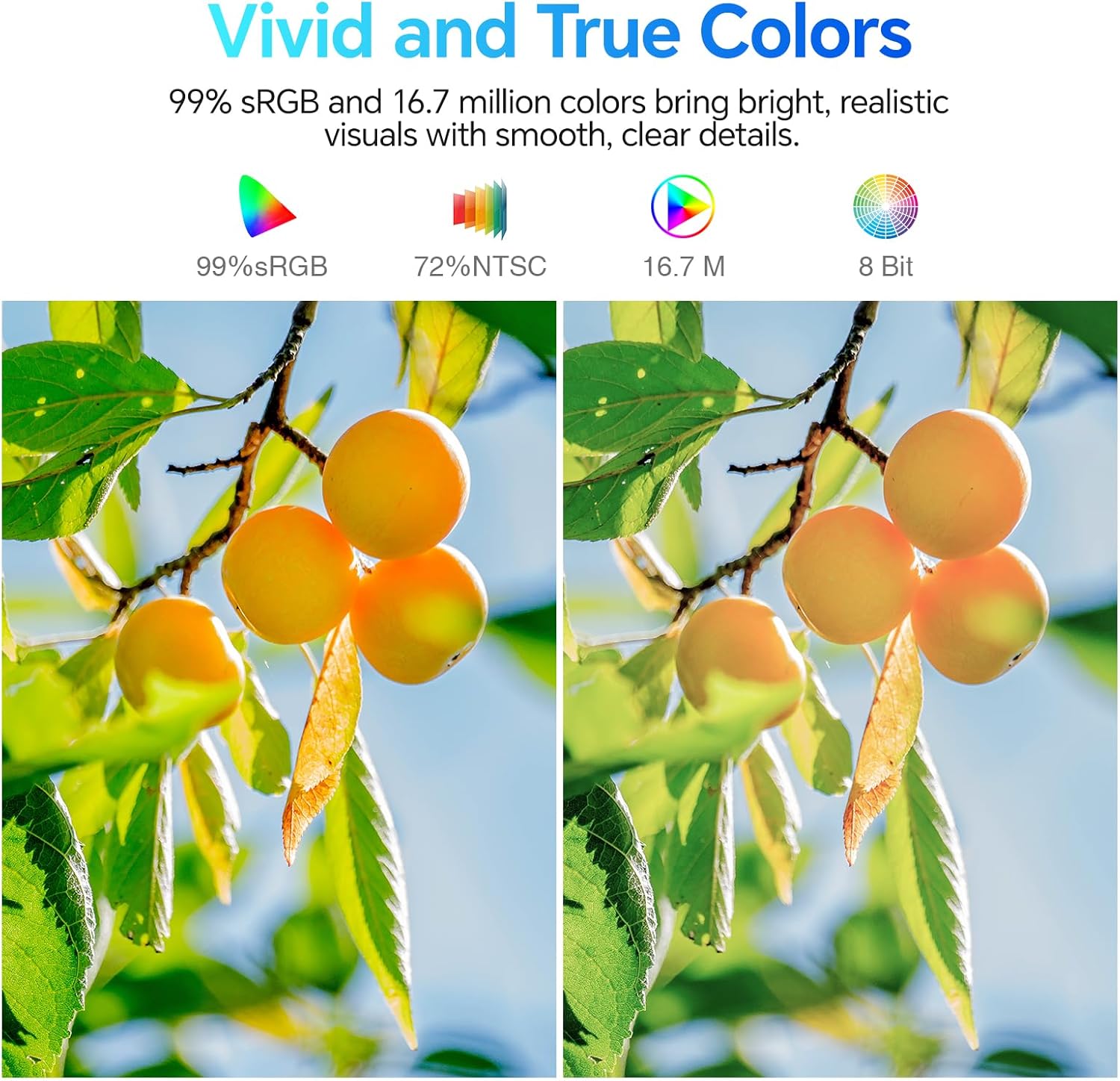 Moniteur professionnel KOORUI E2212F 22 pouces VA FHD 100 Hz