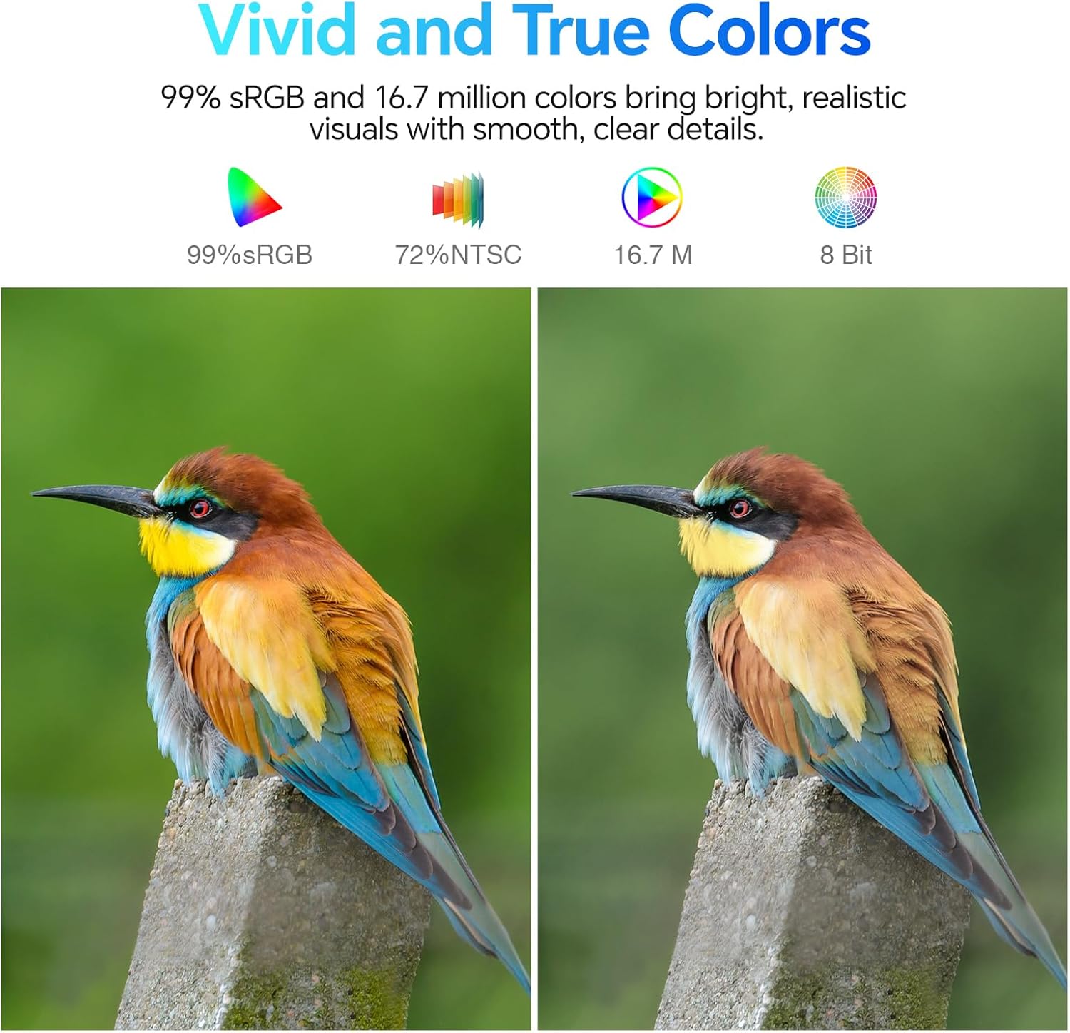 Moniteur professionnel KOORUI E2412F 24 pouces VA FHD 100 Hz