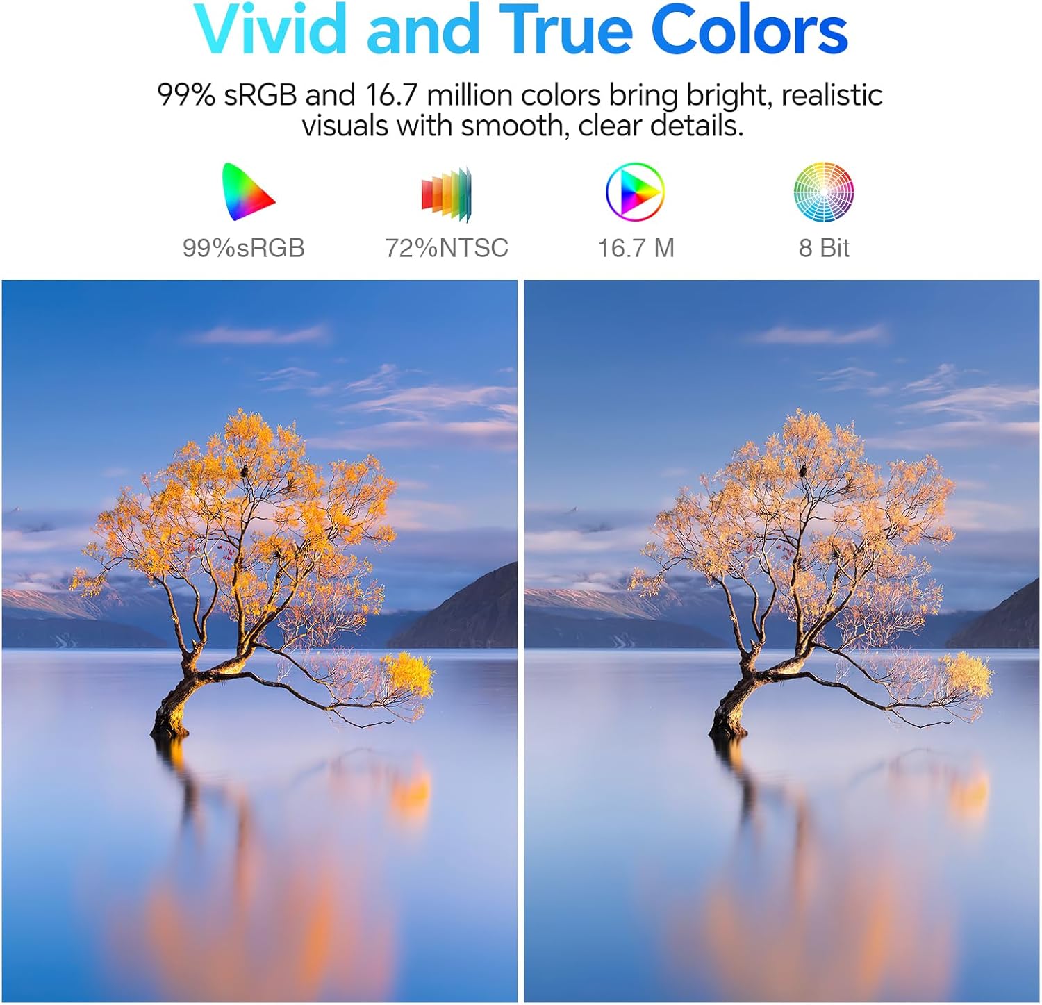 Moniteur professionnel KOORUI E2411H 24 pouces IPS FHD 120 Hz