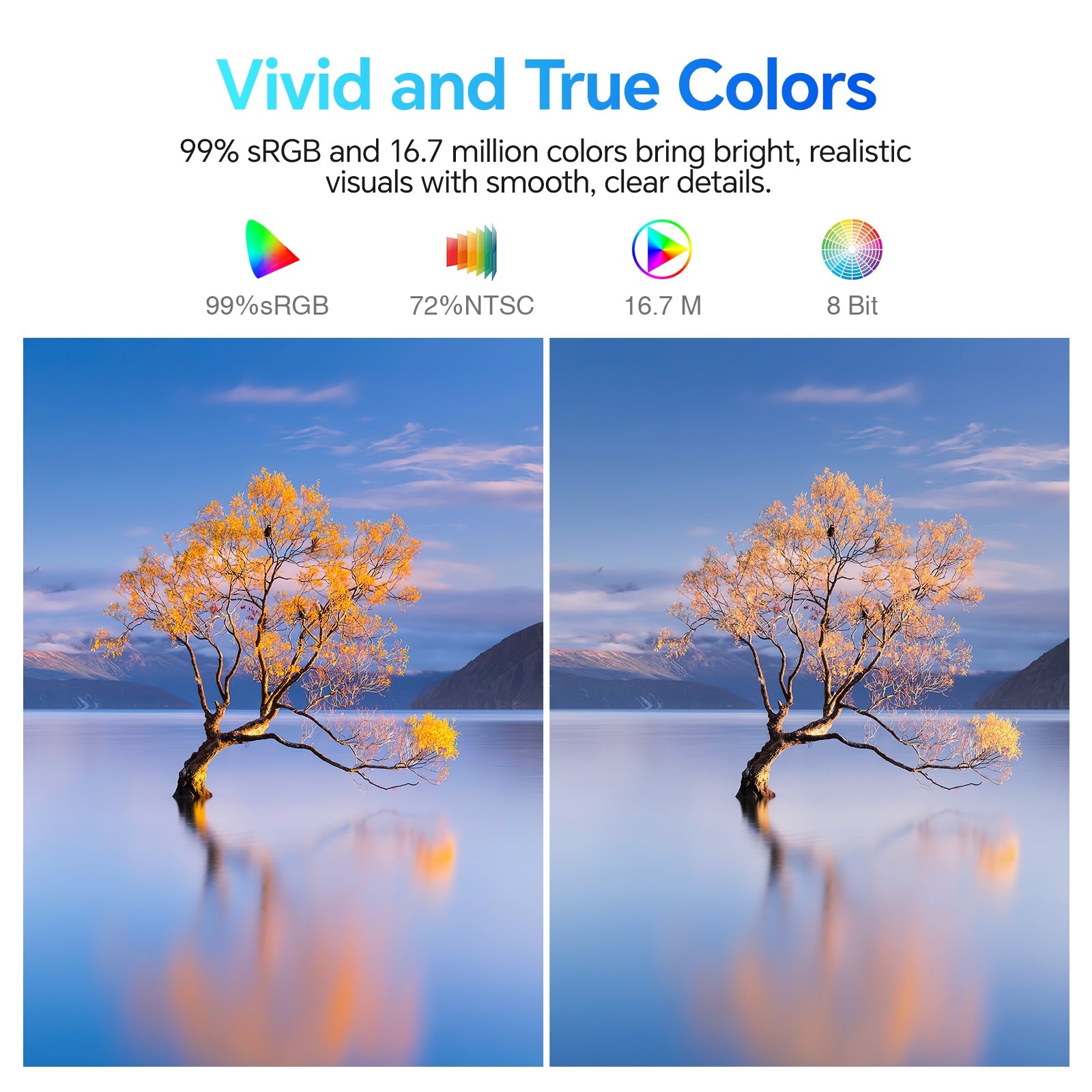 Moniteur professionnel KOORUI E2411K 24 pouces IPS FHD 144 Hz 